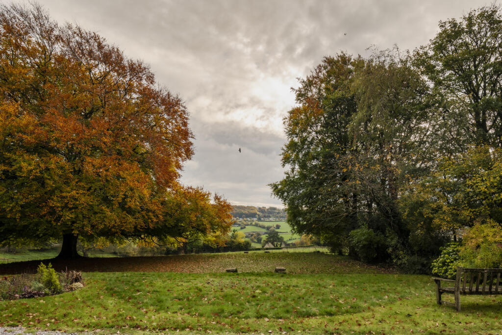 318416 - WHhr-14.jpg
