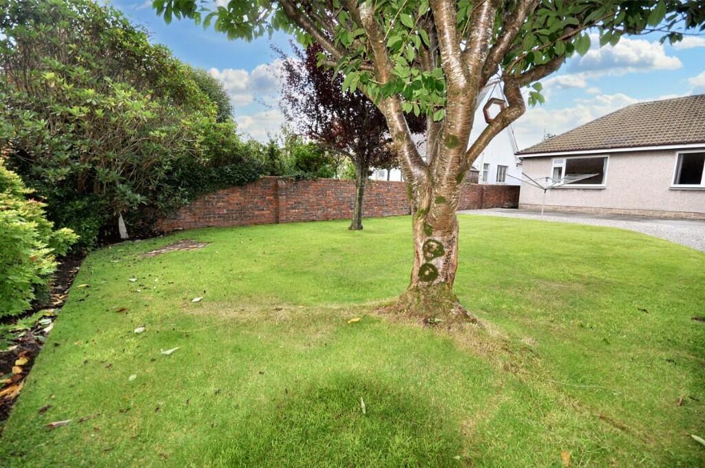 Back Garden