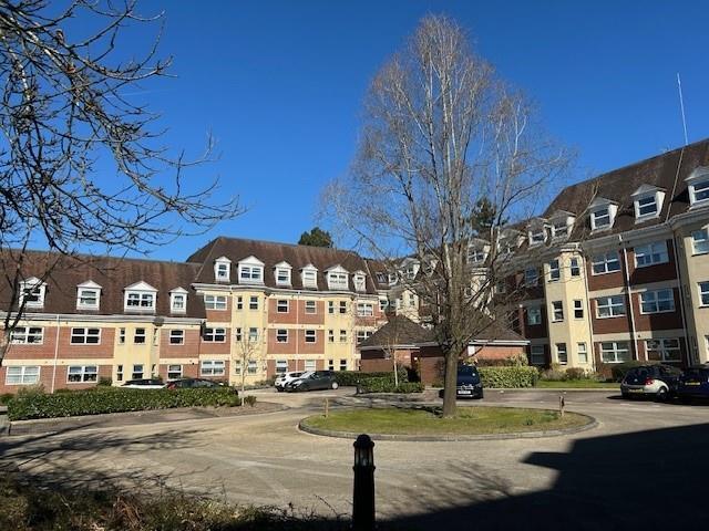 83 Elmhurst Court gardens 2.jpg