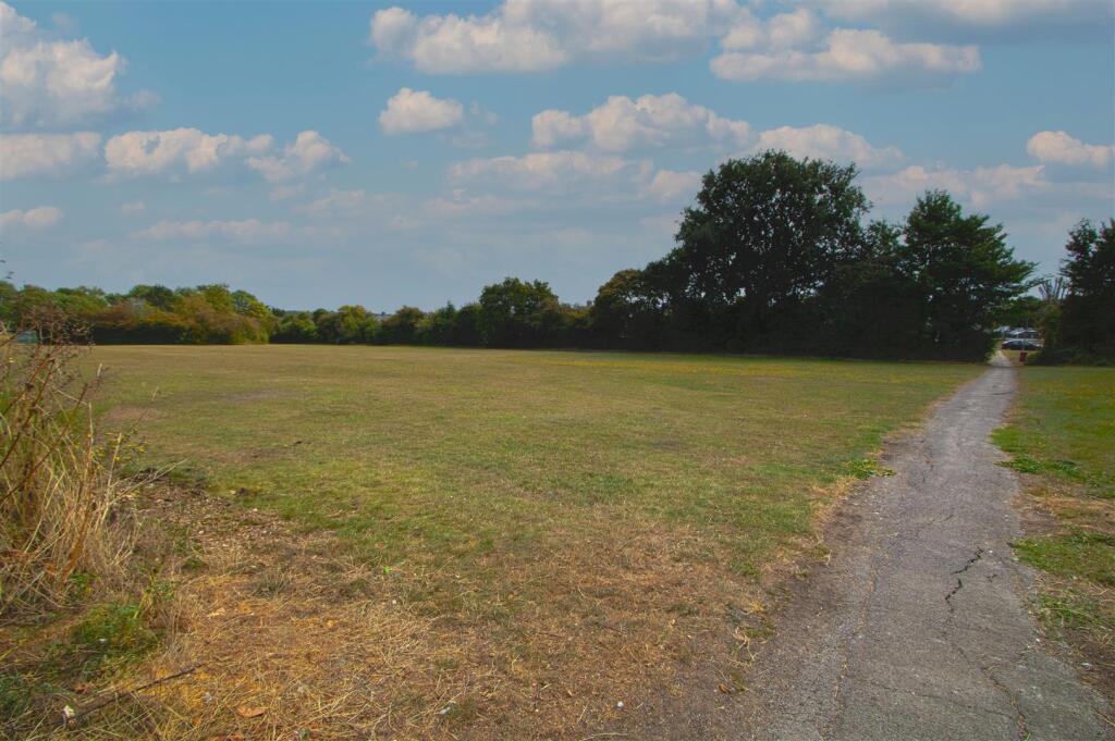 FIELD.jpg