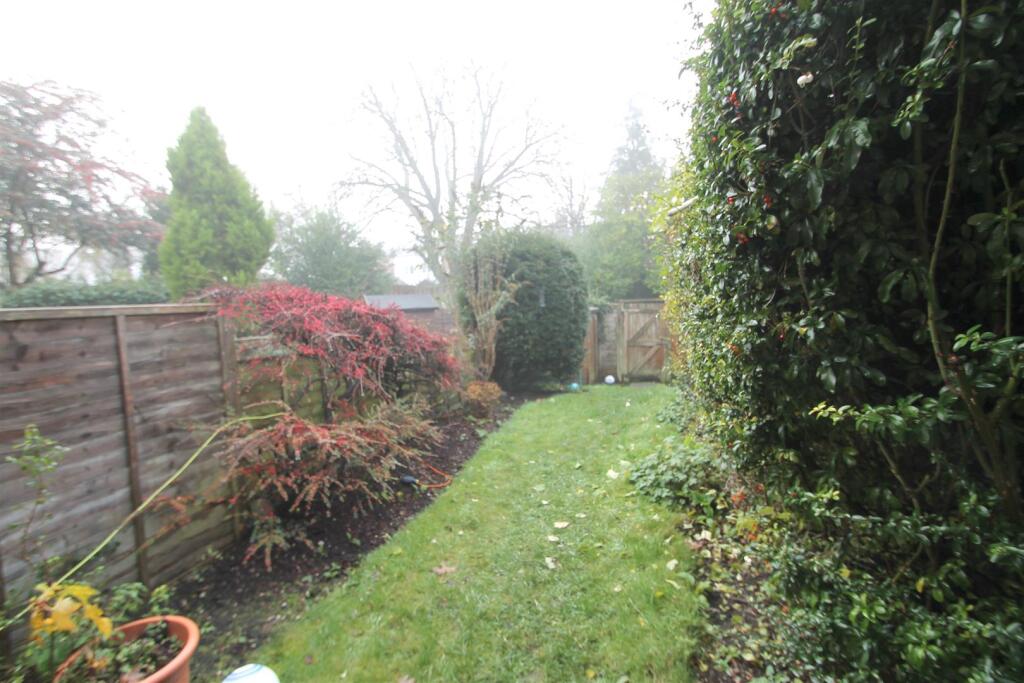 garden.jpg
