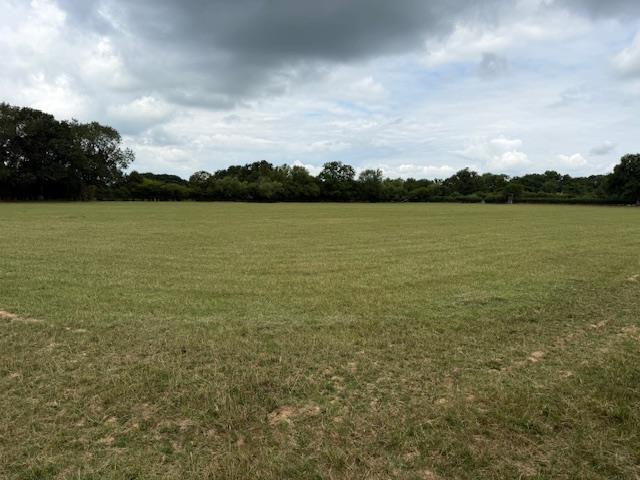 image5.jpeg