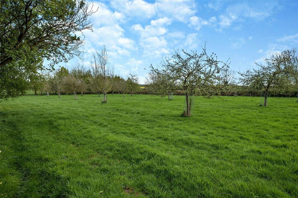 Picture No. 07