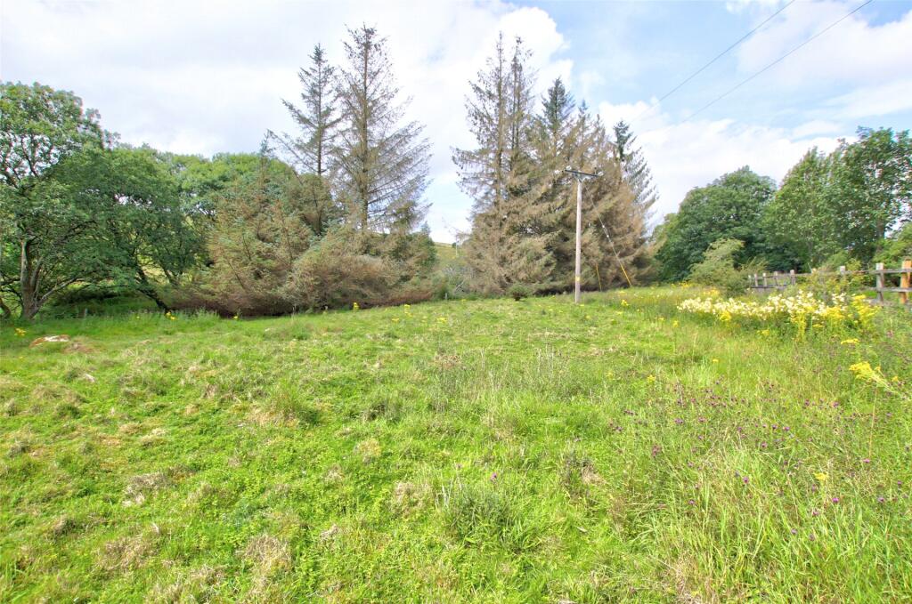 Field