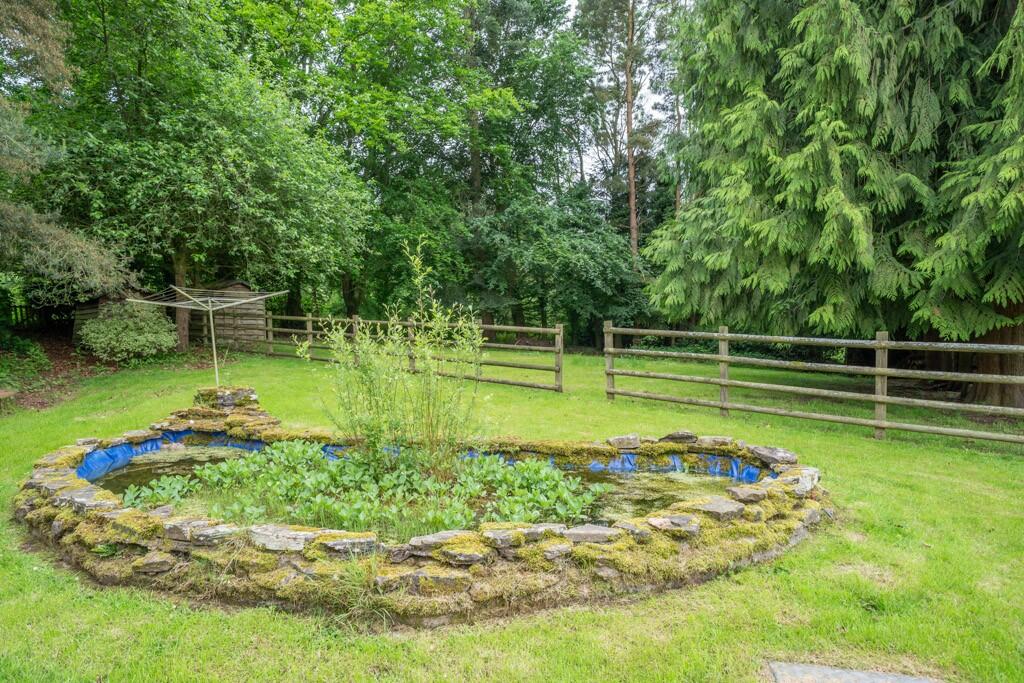 Pond Area