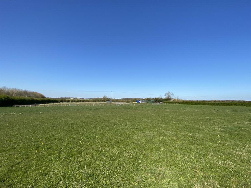 Paddocks.JPEG