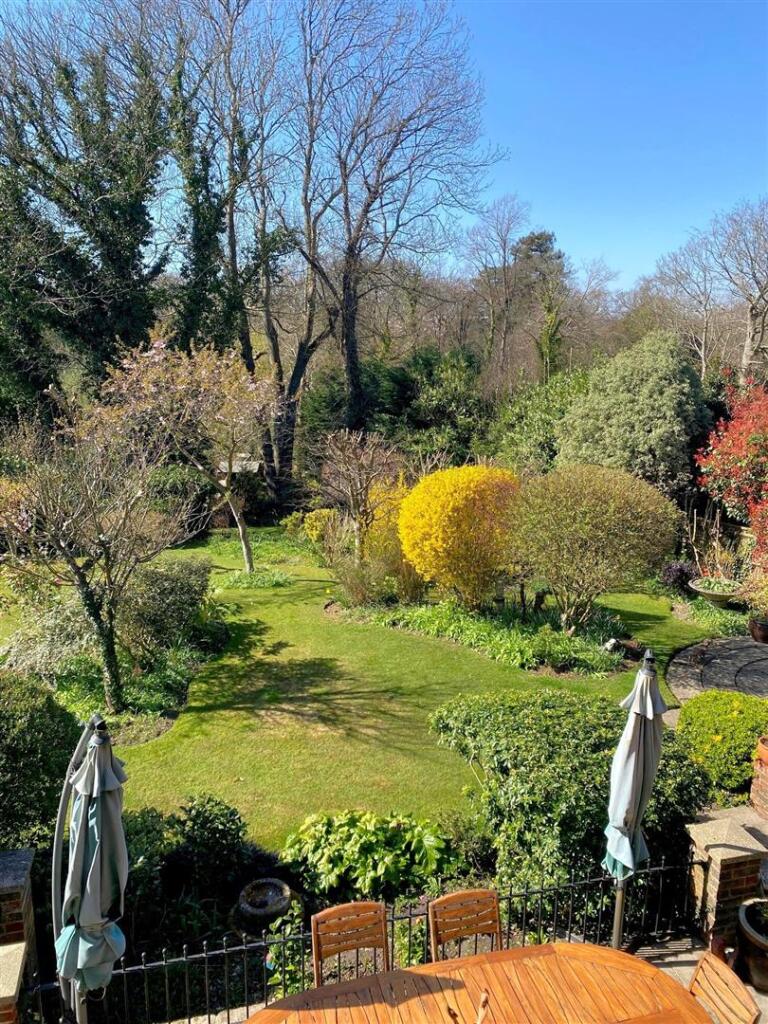 garden 3.jpg