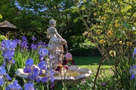 110246_ADR-S-24278_IMG_39_0000_max_476x317