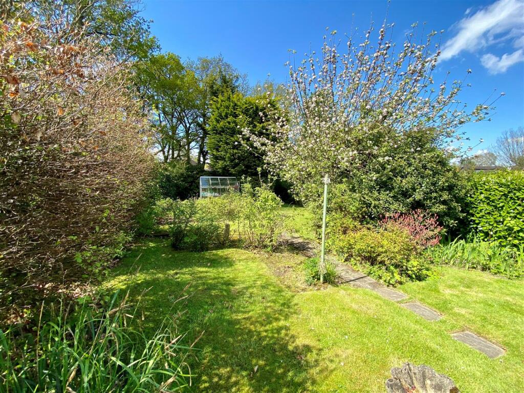 Garden 4.jpg