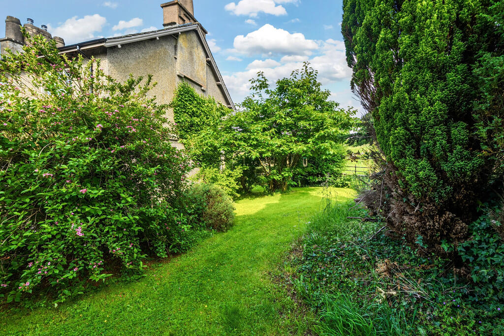 Side Garden