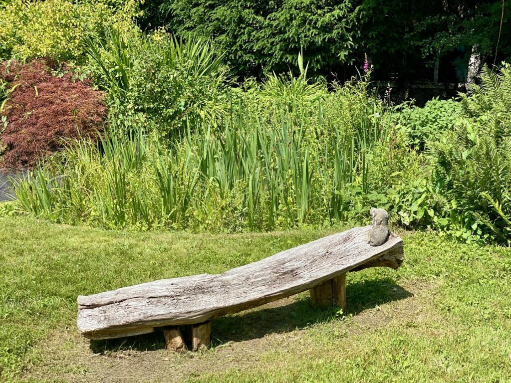 Bench June 2025