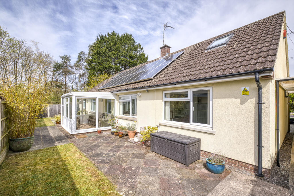 Primrose Corner, Street (April 25 updates)-7