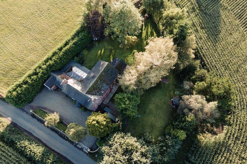 Plot view from above