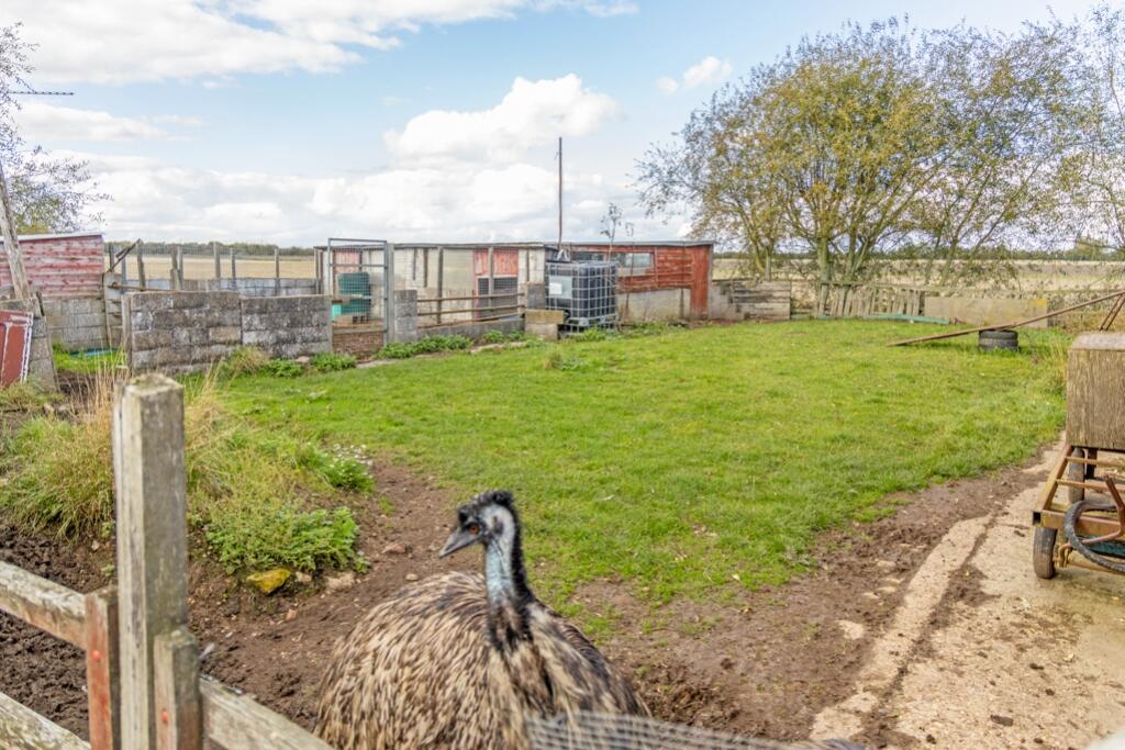 Ash Tree Farm (Amber Hill)-15