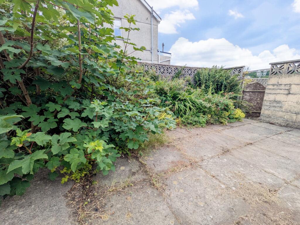 PICNIC_20250709_174254573~2