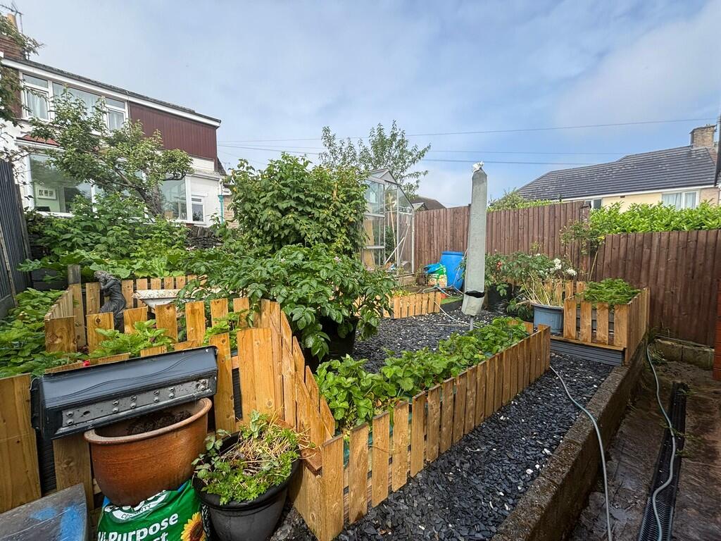 garden 5