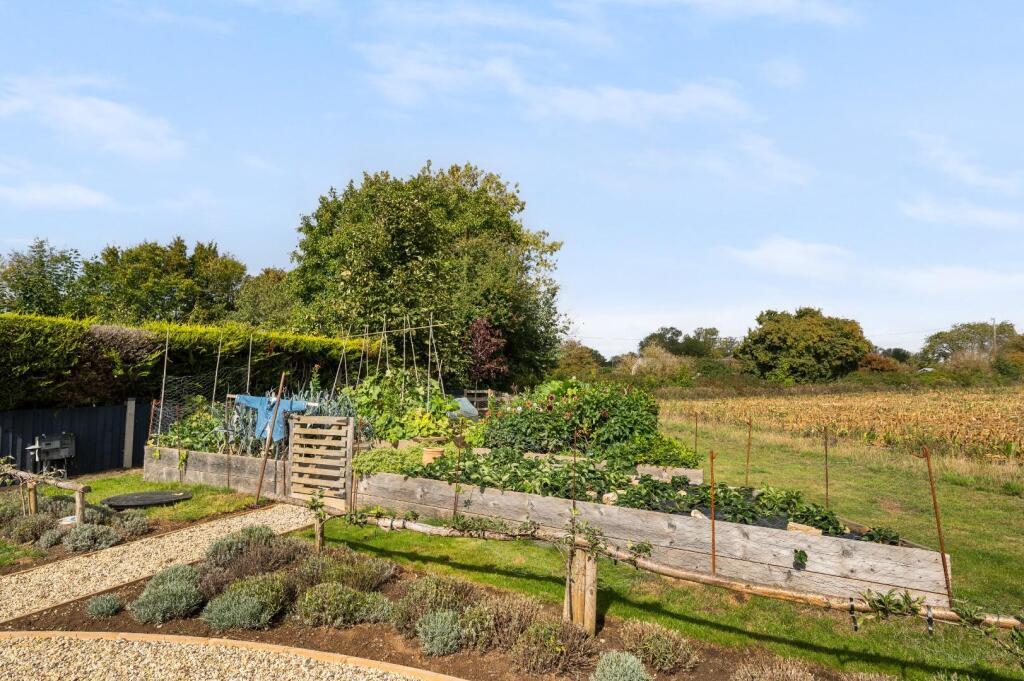 Vegetable Garden
