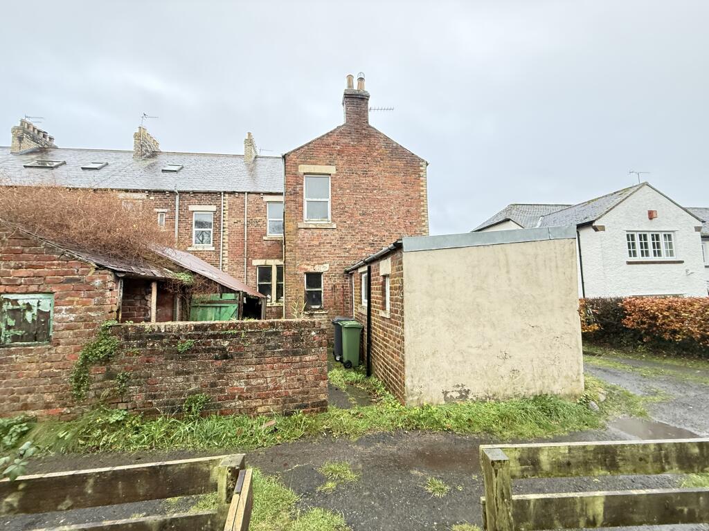 IMG 2031 T202511131557.jpg