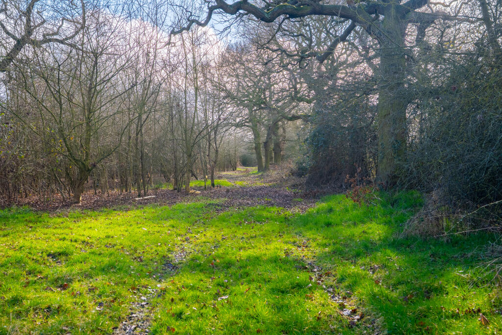 easthaggfarmground6