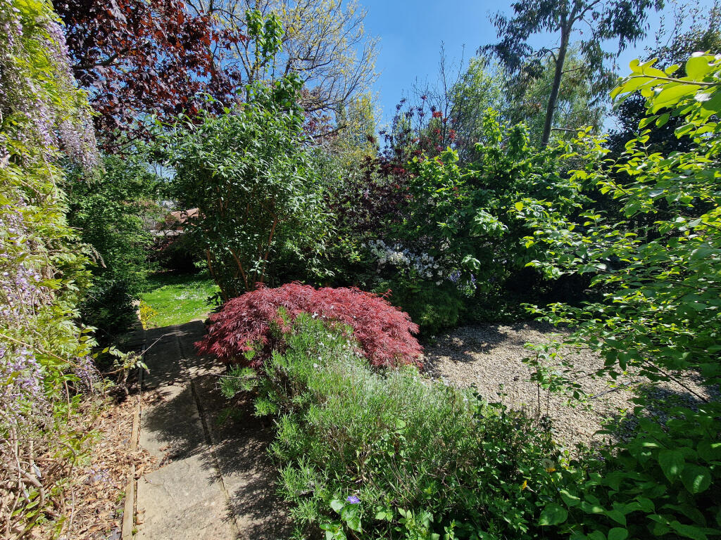 Rear Garden-angle 9