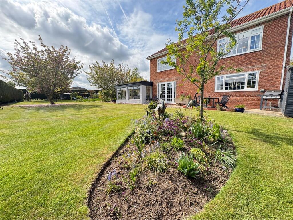 processed-826E91C3-58FB-4D9C-ABF3-811168359A8A.jpe