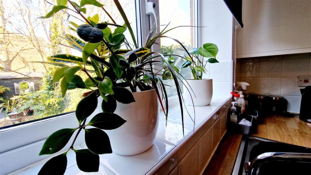 Window ledge