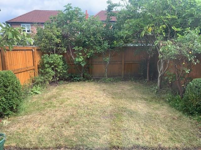 Back Garden
