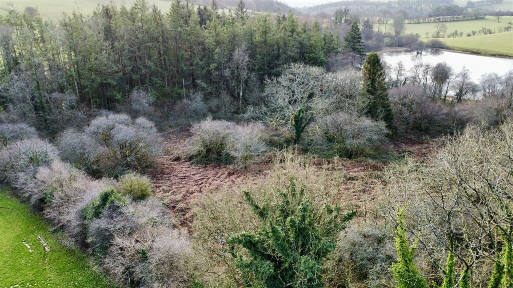 dji_fly_20241223_100824_49_1734948599456_photo_opt