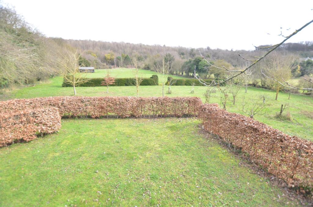 Bottom pasture field.JPG