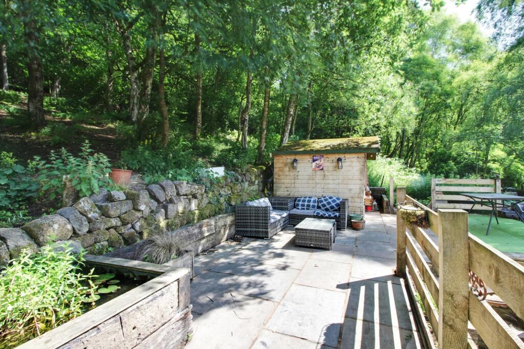 Back Garden