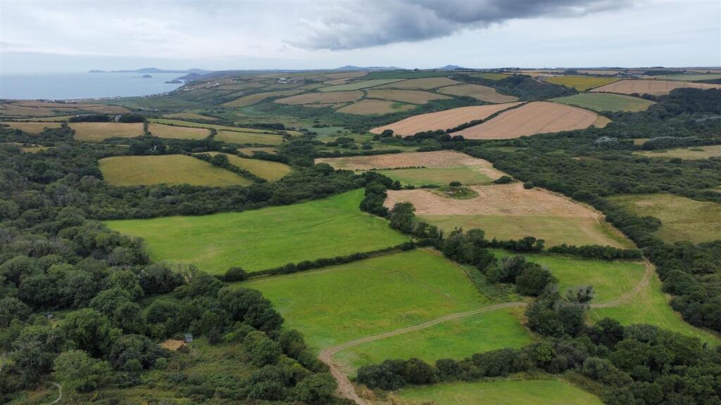 dji_fly_20250716_105840_463_1752659959312_photo_op