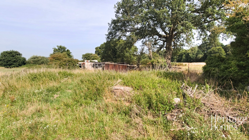 IMG20250813101515-fotor-2025081414317