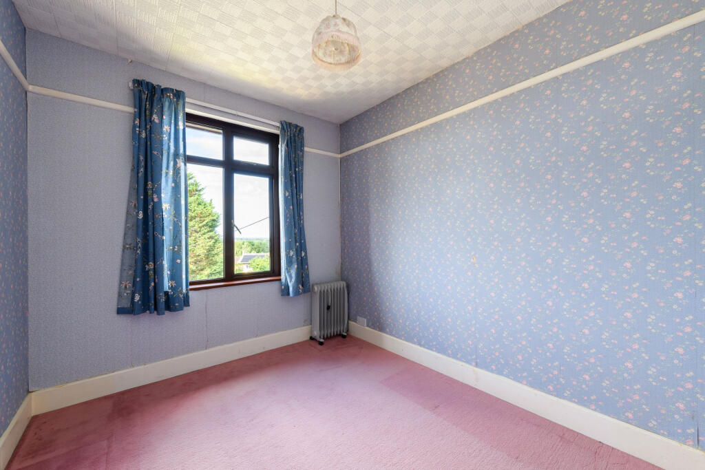 TEK HiRes 250731 056.jpeg