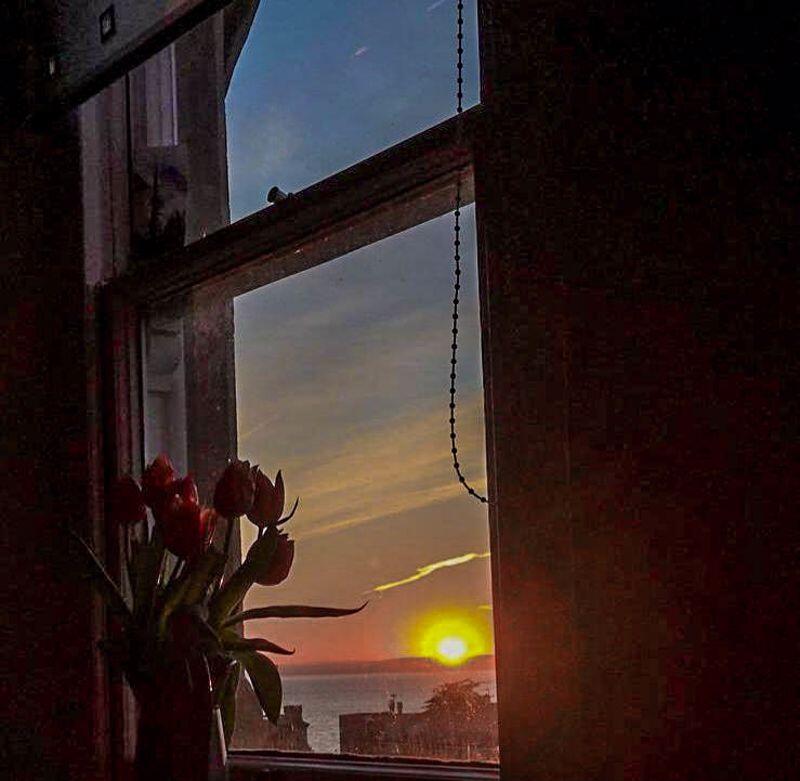 View from window