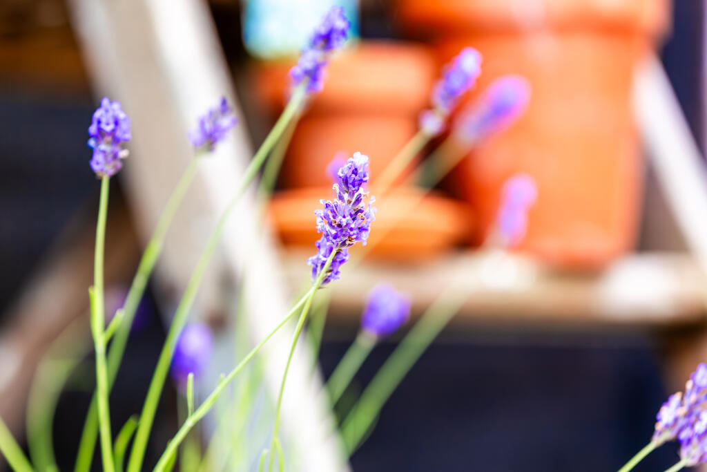 5F8A6569-Enhanced-NR