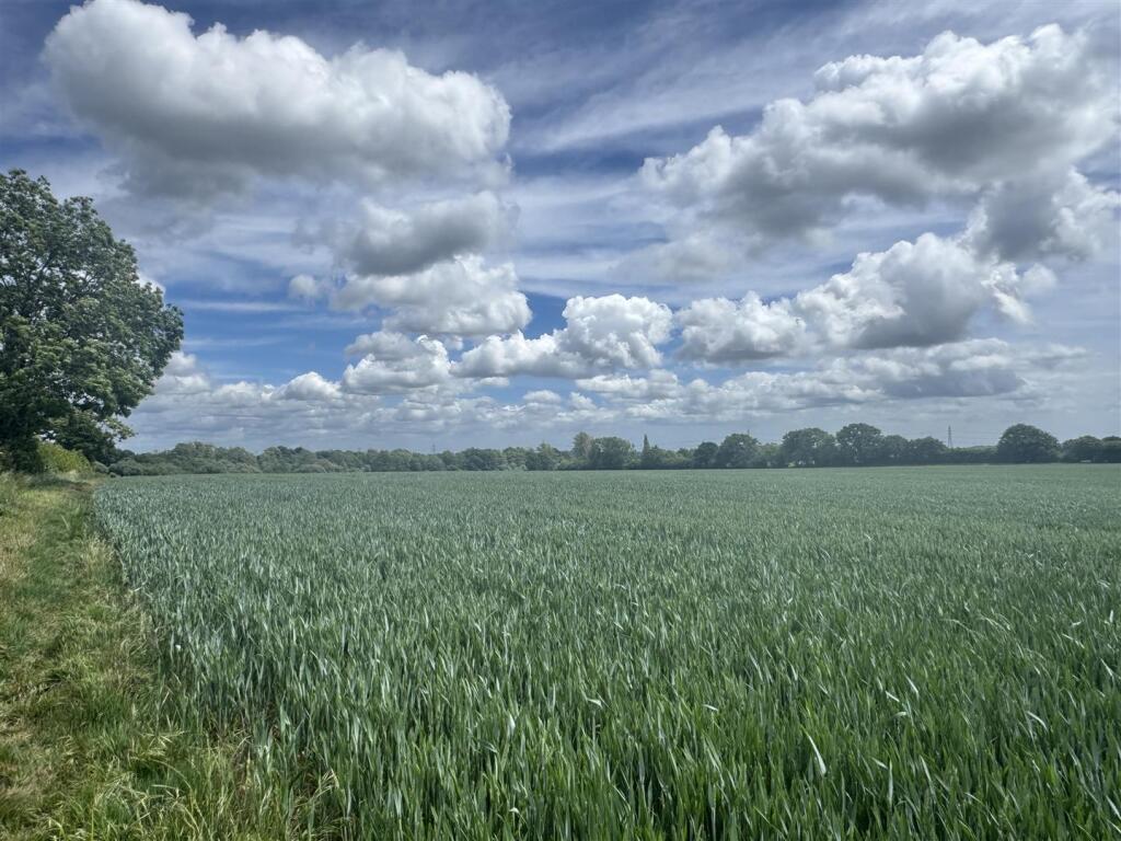 Land at Hinton Martell
