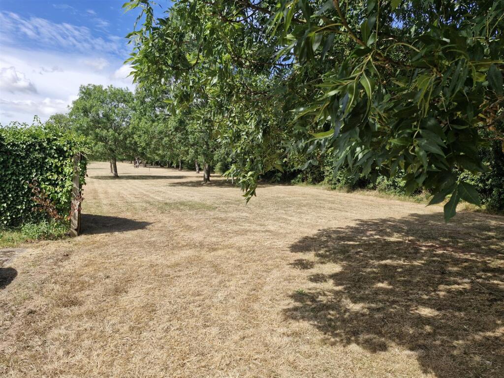 land at the back.jpg