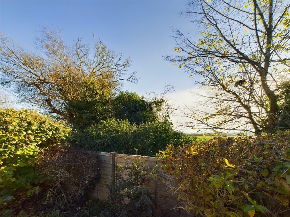 Field Views