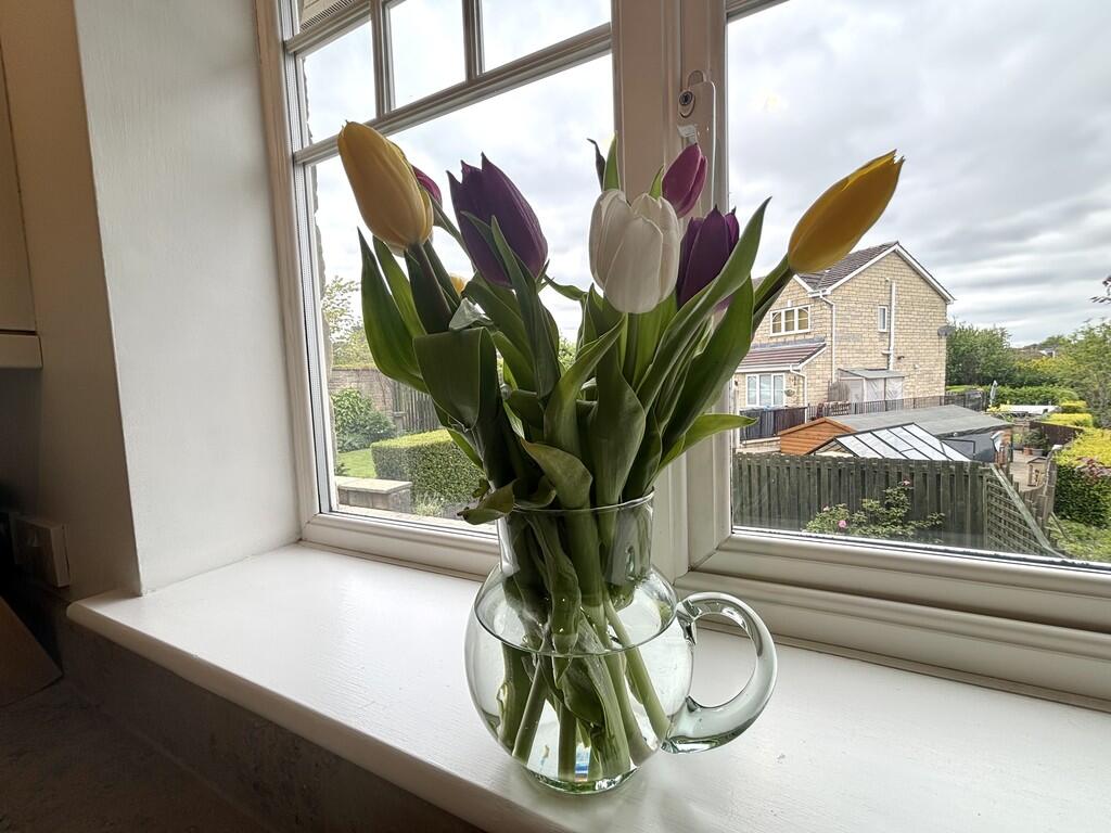 flowers 1
