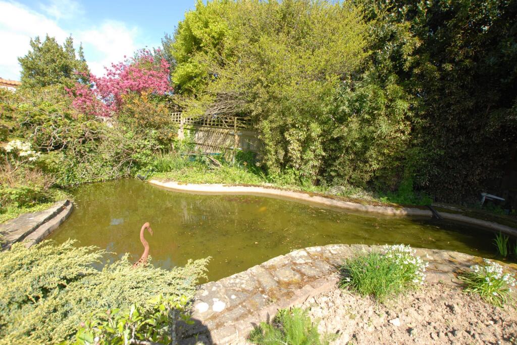 Pond