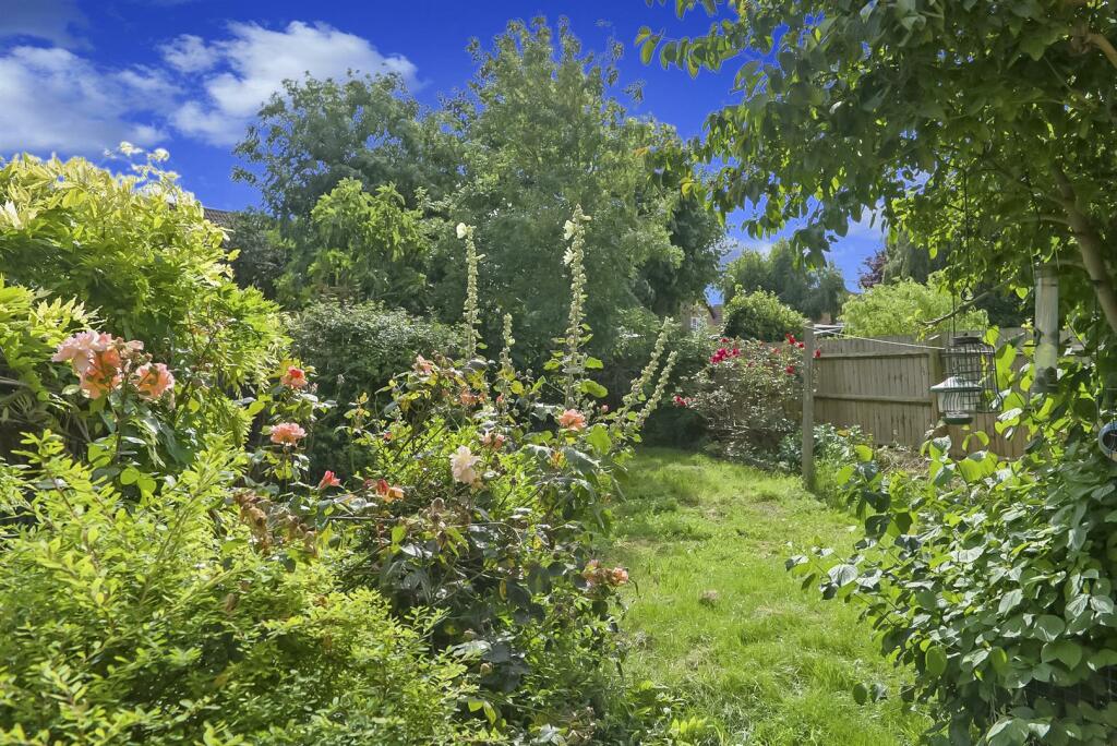 DSC_8465.jpg