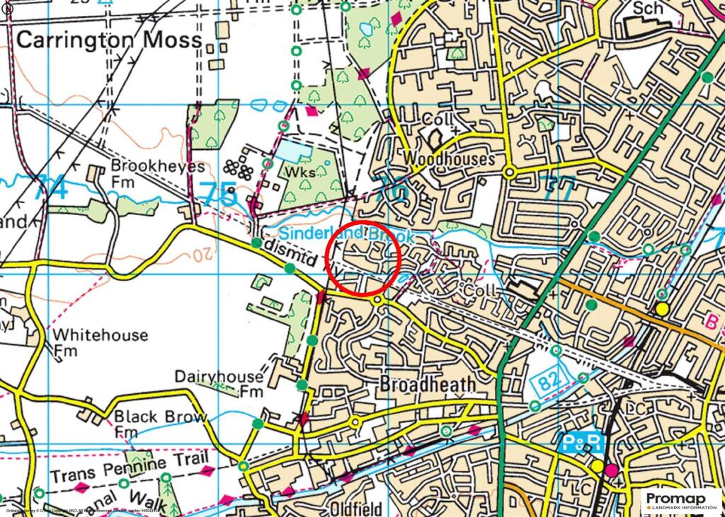 Town Plan
