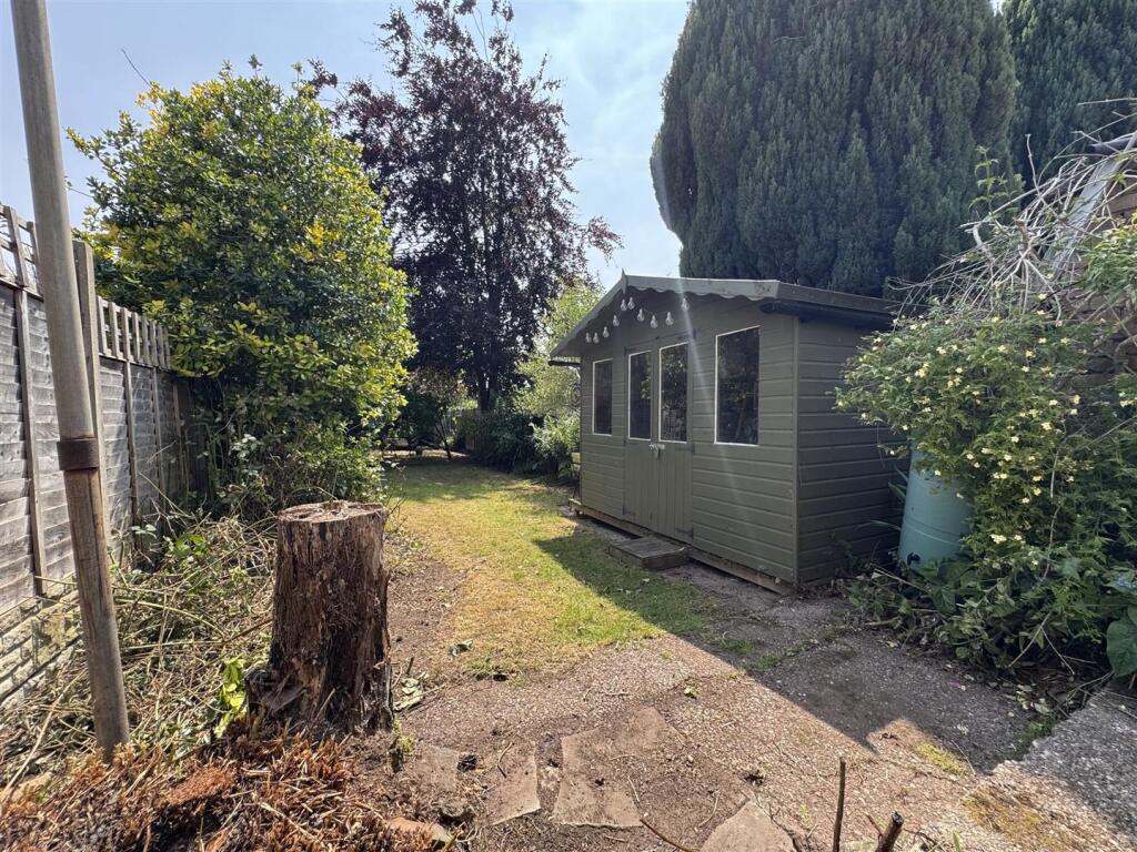 IMG_4412 (Large).JPG