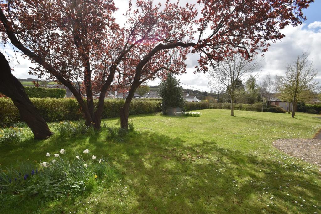 Tiverton, Seddons