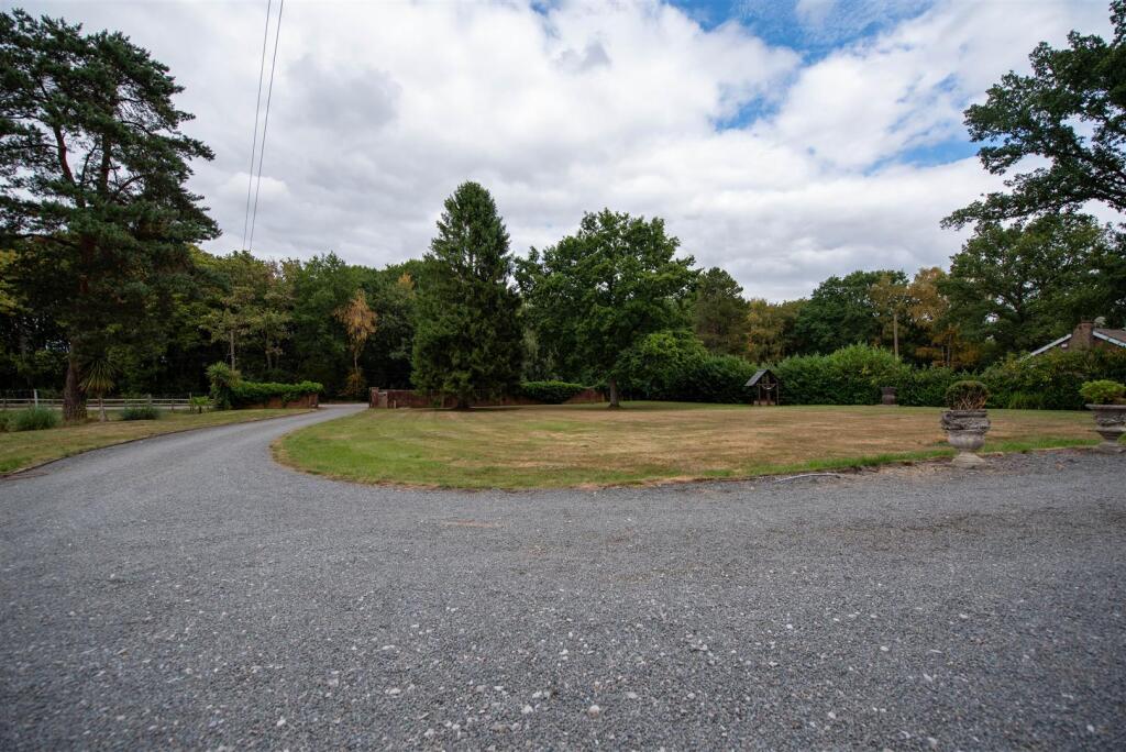 DSC_8088-2.jpg