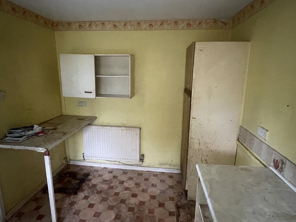 IMG 5189 T202502281336.jpg