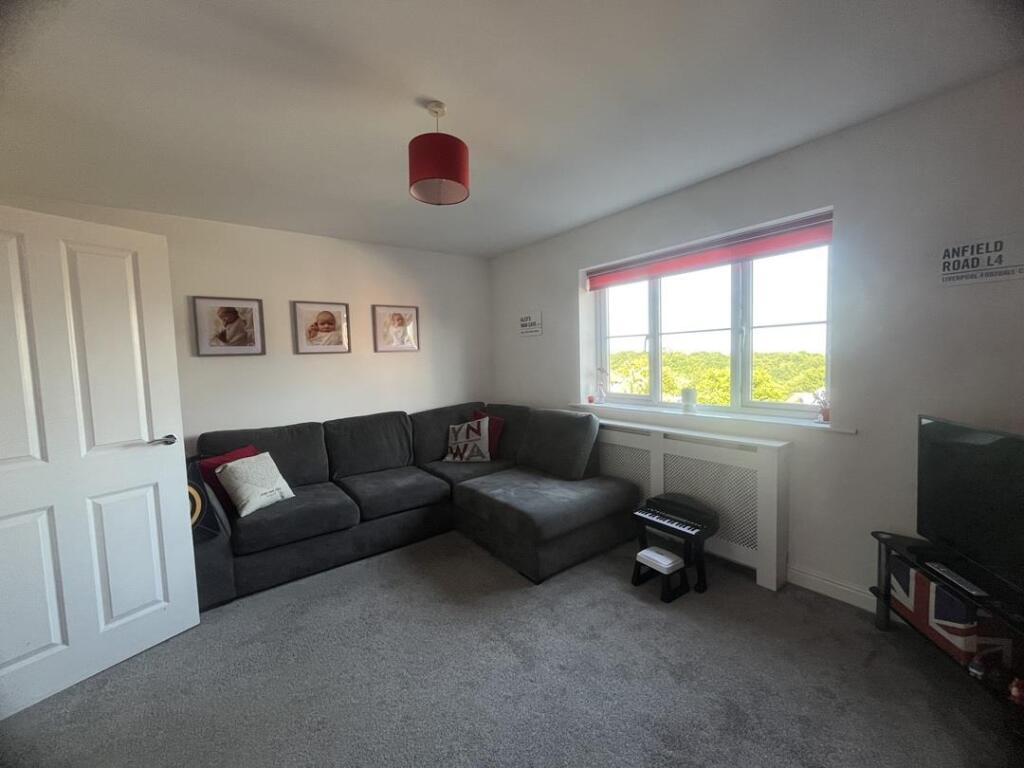 Living Room / Bedroom 3