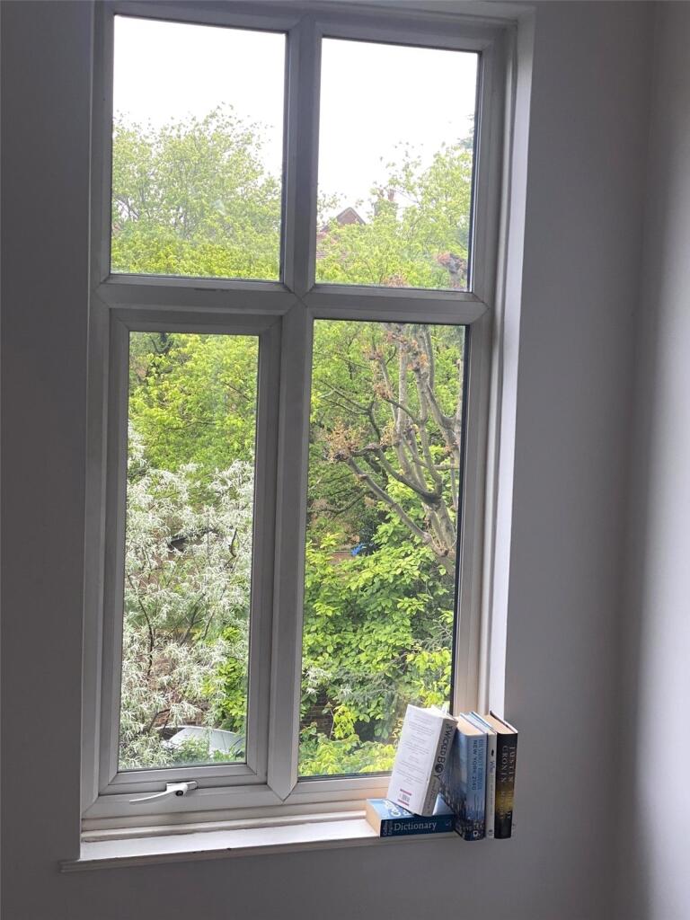 Window