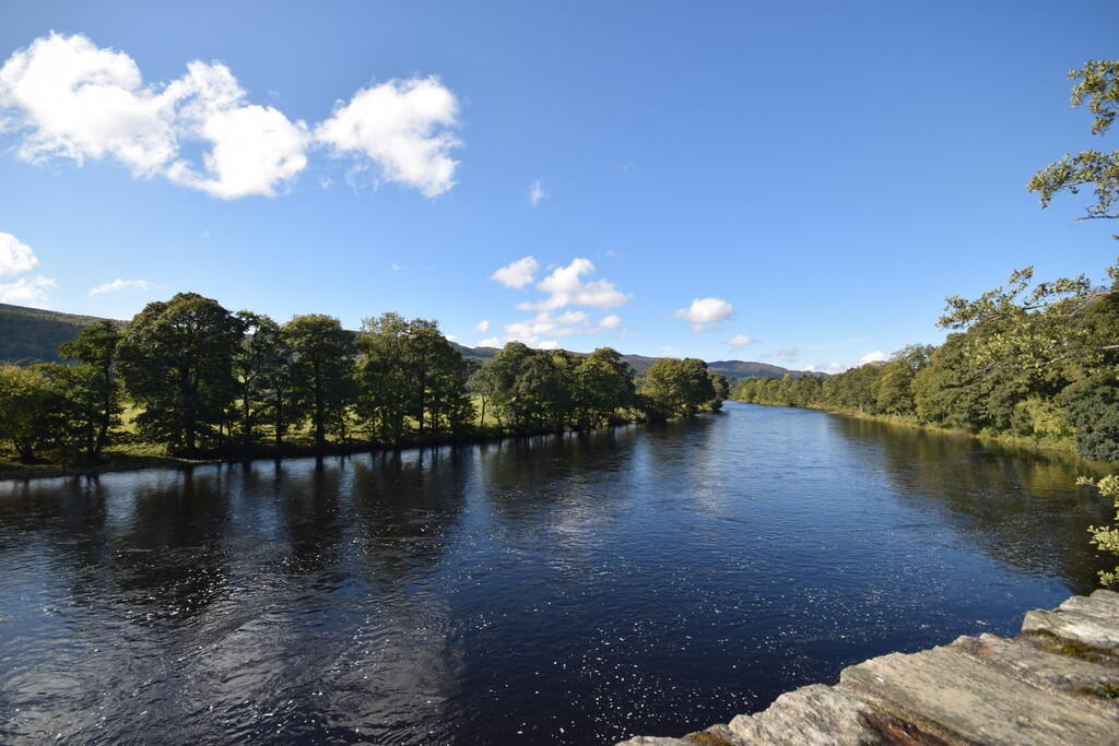 IMG_13843_21_larg...