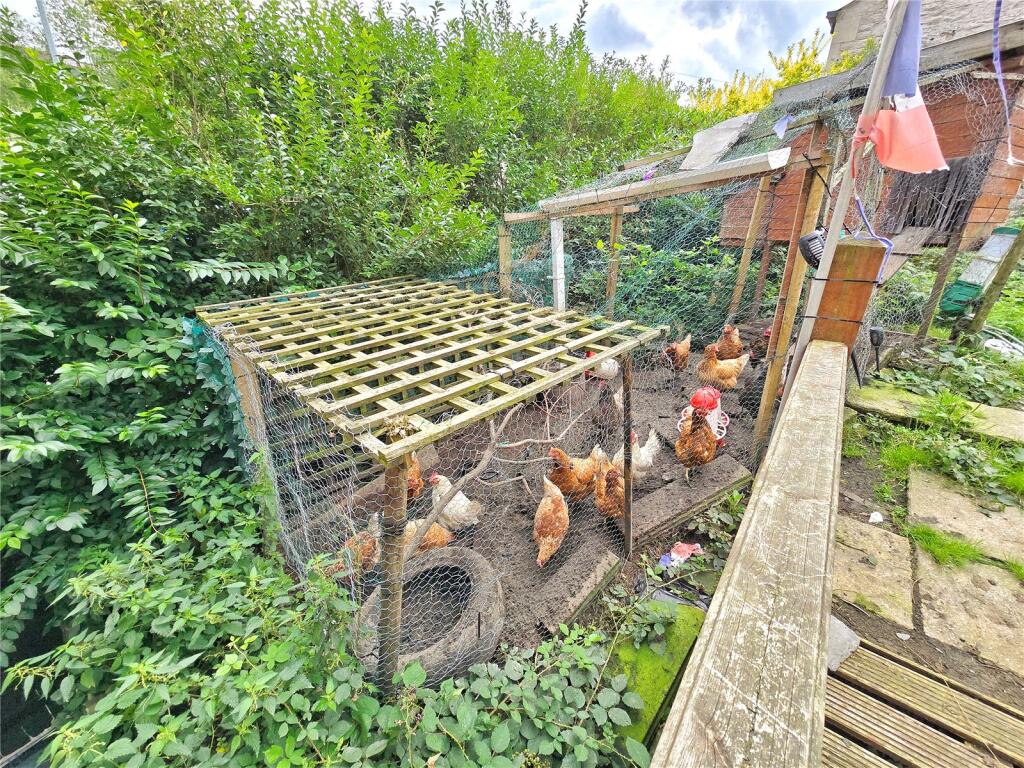 Chicken Coop
